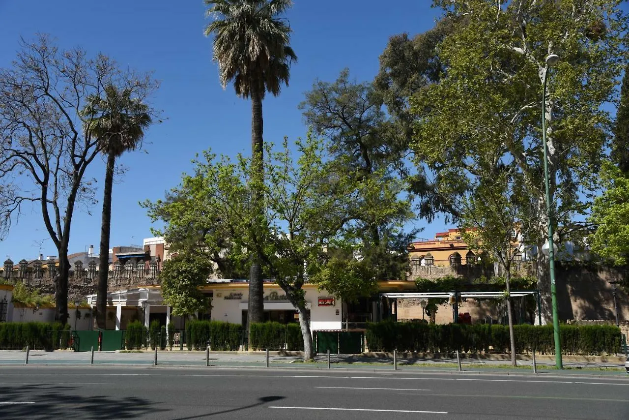 Modern Atico, Close Macarena/Sevilla center Sevilla